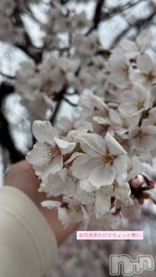 �����������Х��顦�����LYNX(��󥯥�) �ϡ�����4��4���̥�֥����֤�����Ҥ�Ҥ����