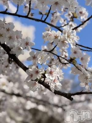 �����������Х��顦�����LYNX(��󥯥�) �ϡ�����4��7���̥�֥����ּ�̿��