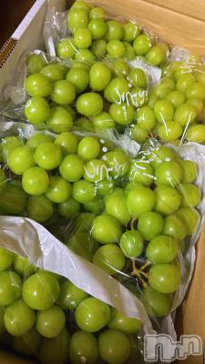 �����������Х��顦�����LYNX(��󥯥�) �ϡ�����9��18���̥�֥�����🌳🍇��