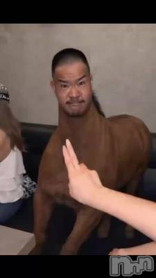 ��ǯ����🐴