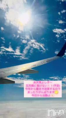 ✈️☁️::::::::::::::::::✈