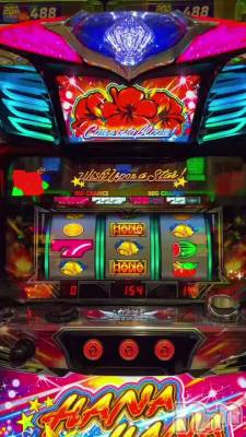 ���֤����🌺✨️