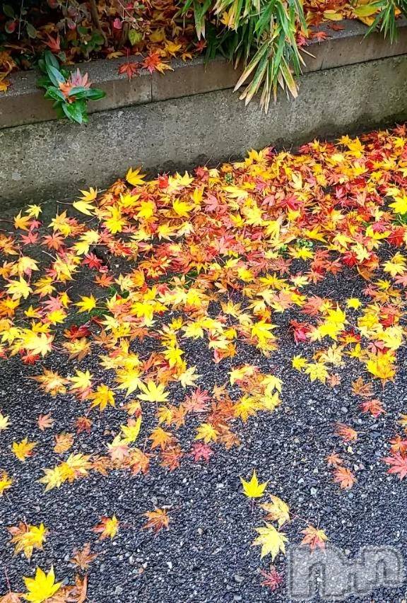 新潟デリヘル熟女の風俗 最終章(ジュクジョノフウゾクサイシュウショウ) みい(32)の12月12日写メブログ「お疲れ様です🍵」