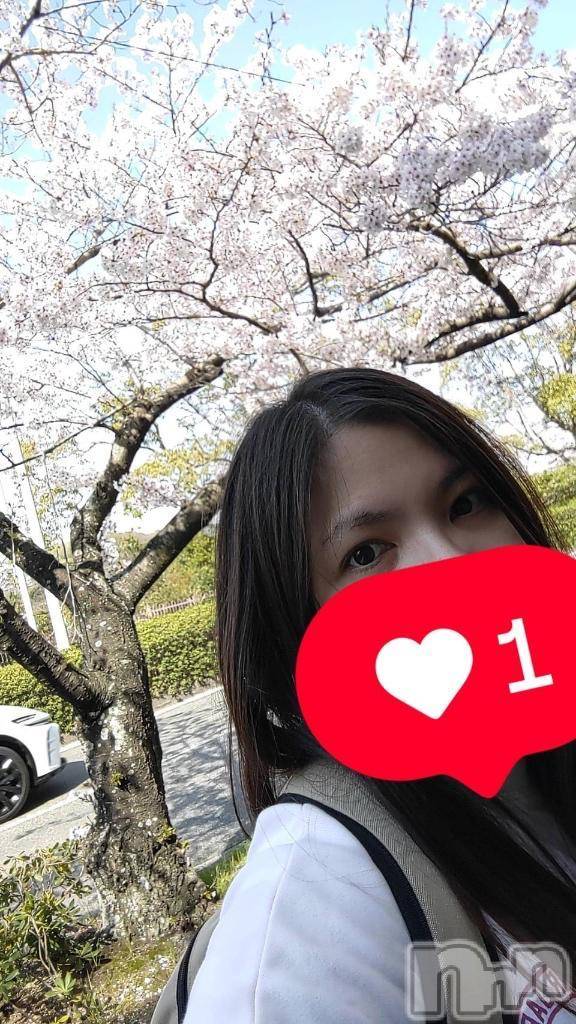 新潟人妻デリヘル熟女の風俗 最終章(ジュクジョノフウゾクサイシュウショウ)みい(32)の2025年4月20日写メブログ「さくら🌸」