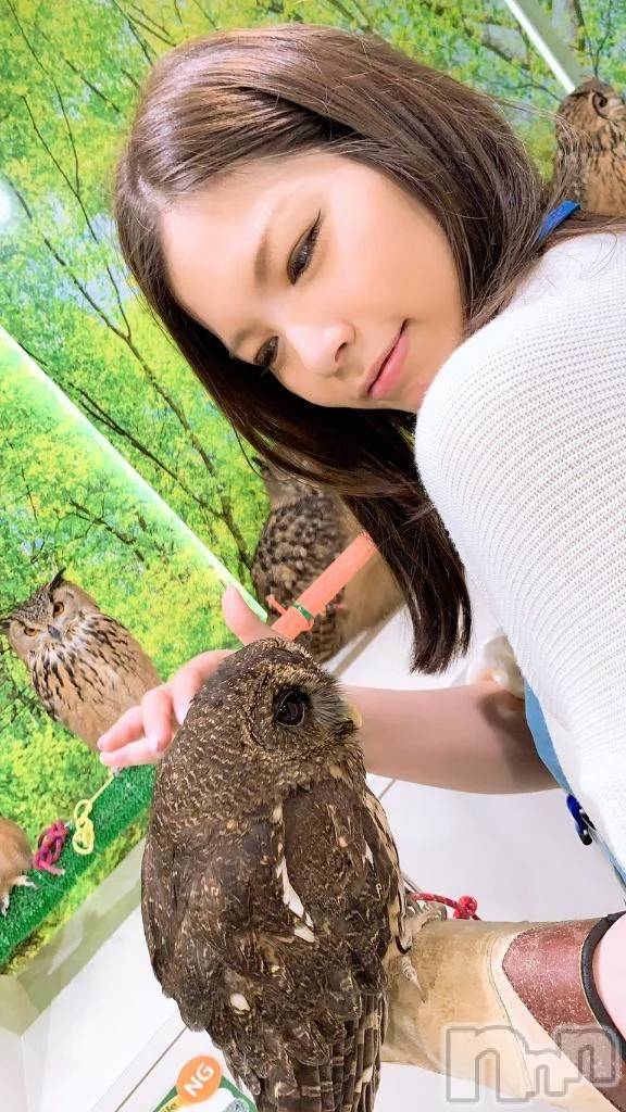 新潟人妻デリヘル熟女の風俗 最終章(ジュクジョノフウゾクサイシュウショウ)みい(32)の2025年9月12日写メブログ「ごめんなさいm(._.)m」
