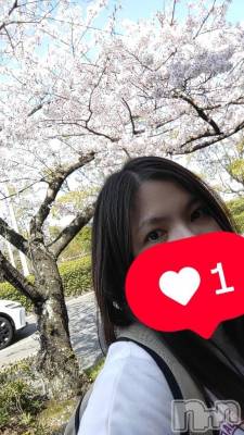 新潟人妻デリヘル 熟女の風俗 最終章(ジュクジョノフウゾクサイシュウショウ) みい(32)の4月20日写メブログ「さくら🌸」