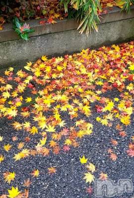 新潟デリヘル 熟女の風俗 最終章(ジュクジョノフウゾクサイシュウショウ) みい(32)の12月12日写メブログ「お疲れ様です🍵」