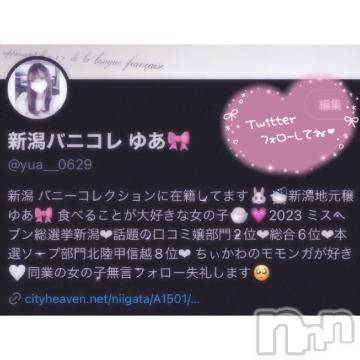 新潟ソープ新潟バニーコレクション(ニイガタバニーコレクション)ユア(20)の2024年6月29日写メブログ「再開しました✨️」