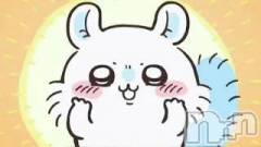 新潟ソープ新潟バニーコレクション(ニイガタバニーコレクション) ユア(20)の6月11日写メブログ「初〇〇 痛いぃ💦」