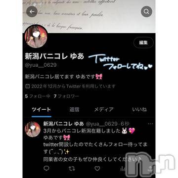 新潟ソープ 新潟バニーコレクション(ニイガタバニーコレクション) ユア(20)の3月23日写メブログ「フォローしてね🎀」