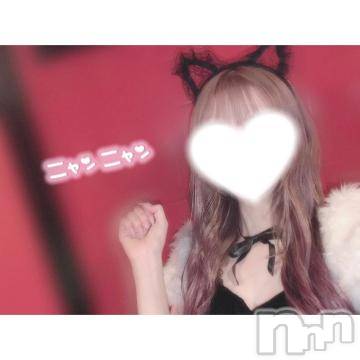 新潟ソープ 新潟バニーコレクション(ニイガタバニーコレクション) ユア(20)の12月3日写メブログ「ネコちゃん再来🐈‍⬛🎀」