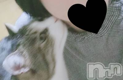 ʥå륺С CABAR LEPUS(Сץ) β(1)