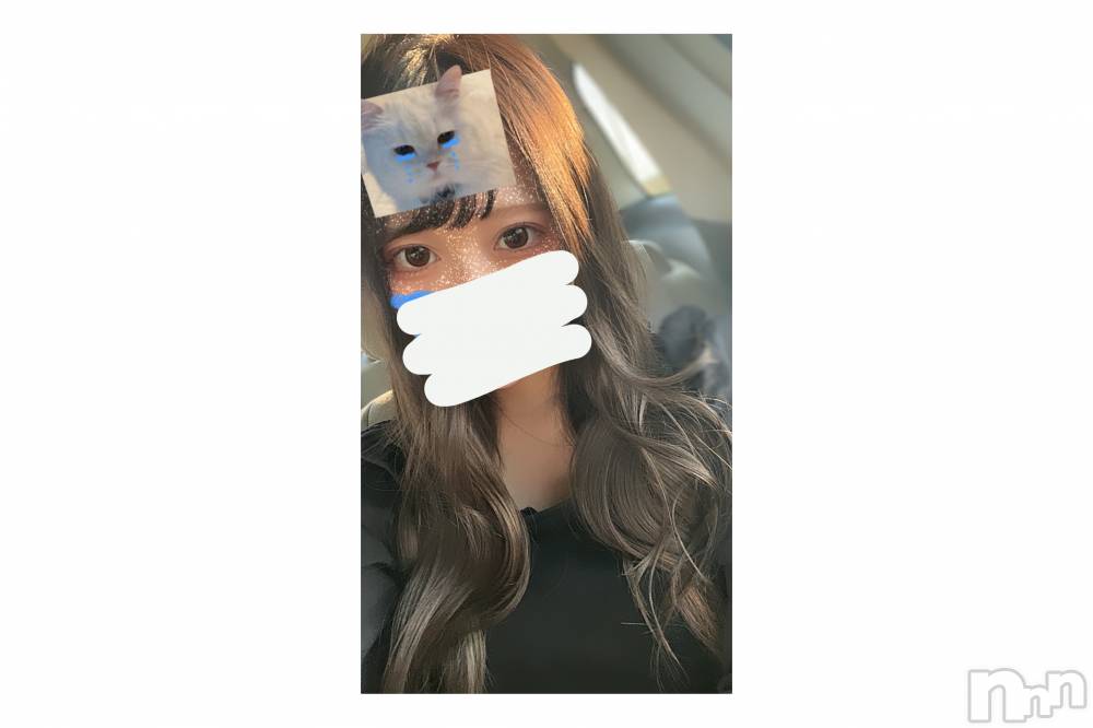 Ĺ襳ѥ˥󥯥ֻ򥳥ѥ˥󥯥 Amour(ࡼ) ꤫̾³Т619̥֥🍻🏮