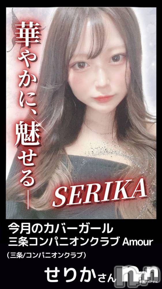 Ĺ襳ѥ˥󥯥ֻ򥳥ѥ˥󥯥 Amour(ࡼ) ʤ113̥֥֤줷❣️