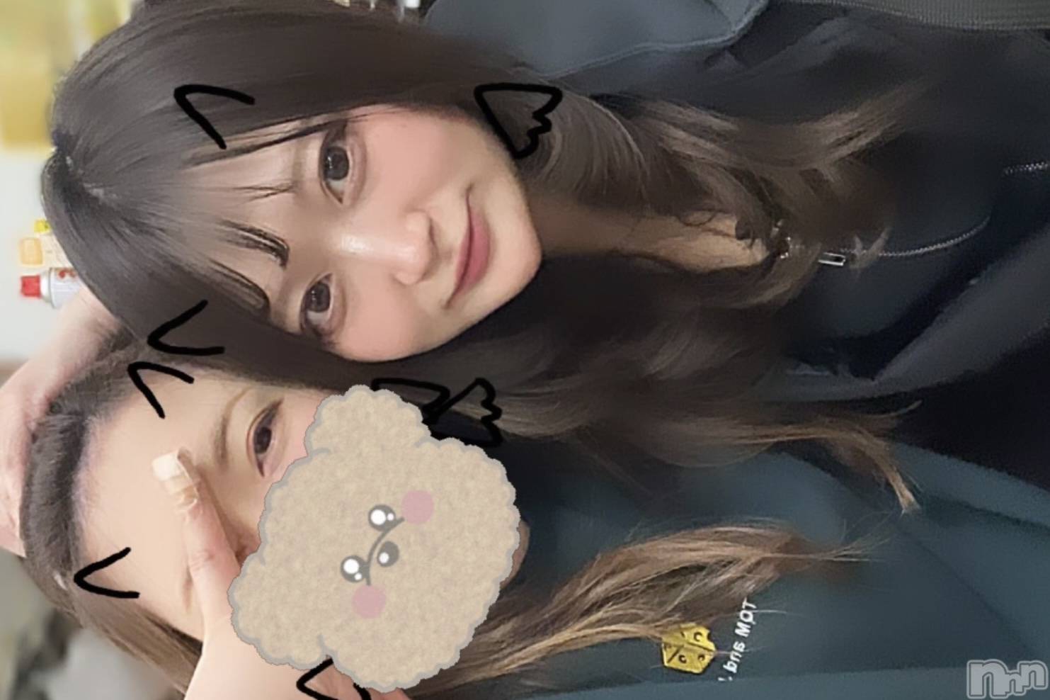 Ĺ襳ѥ˥󥯥ֻ򥳥ѥ˥󥯥 Amour(ࡼ) 2024ǯ1214̥֥֤Ф🐷