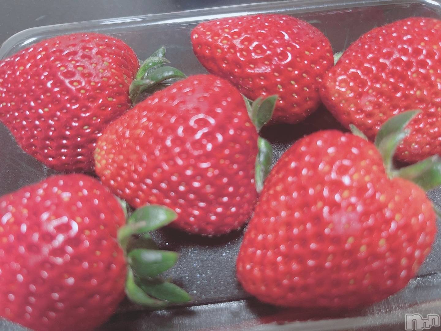 Ĺ襳ѥ˥󥯥ֻ򥳥ѥ˥󥯥 Amour(ࡼ) 2025ǯ410̥֥🍓