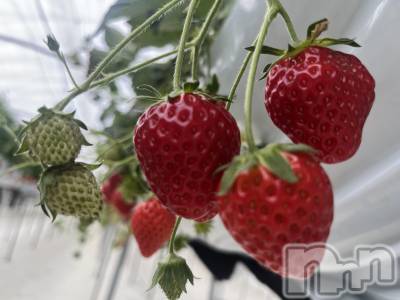 Ĺ�����������襳��ѥ˥��󥯥�ֻ��򥳥�ѥ˥��󥯥�� Amour(���ࡼ��) ���꤫����̾³�Т�(27)��3��6���̥�֥�����🍓��