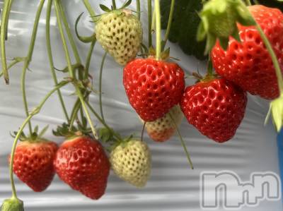 Ĺ�����������襳��ѥ˥��󥯥�ֻ��򥳥�ѥ˥��󥯥�� Amour(���ࡼ��) ���꤫����̾³�Т�(27)��3��23���̥�֥����֤ޤ�🍓��