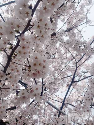 Ĺ�����������襳��ѥ˥��󥯥�ֻ��򥳥�ѥ˥��󥯥�� Amour(���ࡼ��) ���꤫����̾³�Т�(27)��4��9���̥�֥����֡�������