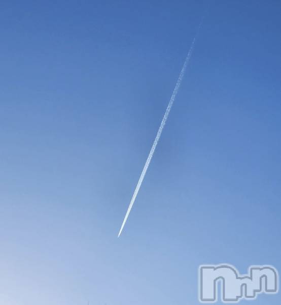 Х顦Lune LYNX(롼󥯥) 315ֲ̥֥뤫🍀 ̖́-