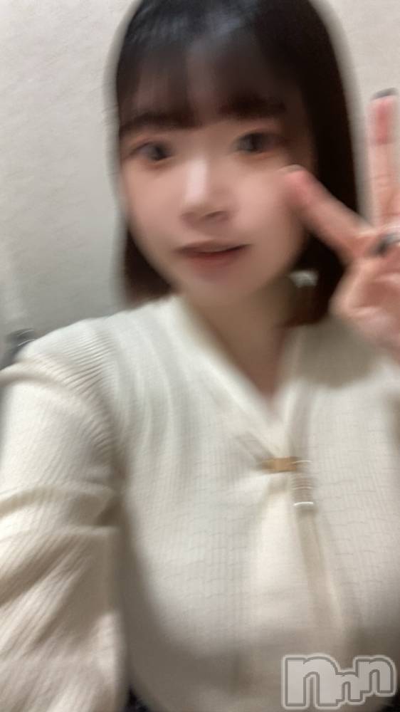 ʥå륺СSnack amie(ʥå ) ʥĤ1021ֻ̥֥Ρ🫨