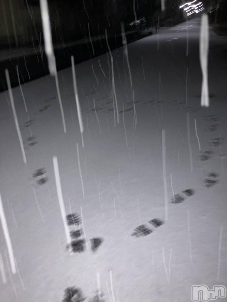 ʥå륺СSnack amie(ʥå ) ʥĤ1219̥֥⛄ȥ( `^* )