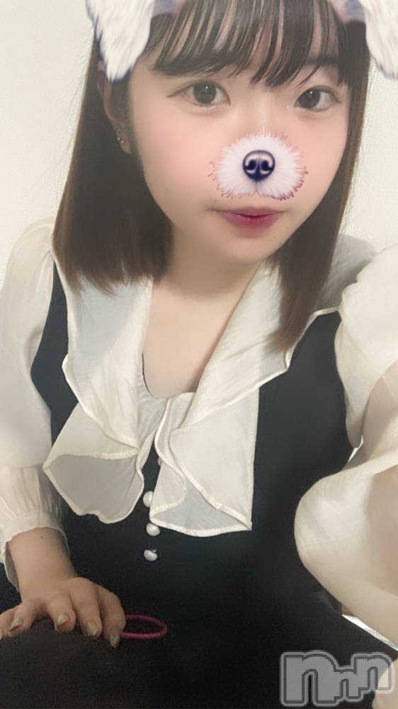 ʥå륺СSnack amie(ʥå ) ʥĤ116̥֥֤✂️⸒⸒