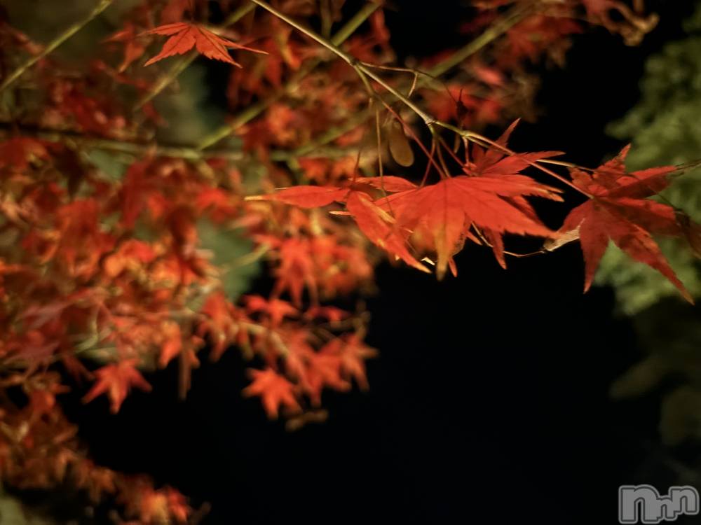 ʥå륺СSnack amie(ʥå ) ʥĤ1112̥֥֡🍁󥿥륱🍁