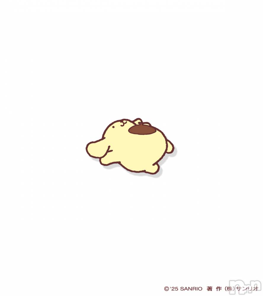 ʥå륺СSnack amie(ʥå ) ʥĤ727̥֥🍮