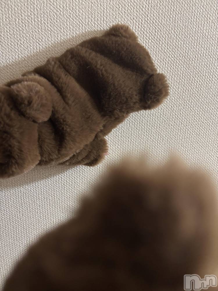 ʥå륺СSnack amie(ʥå ) ʥĤ1122̥֥󤷤ʤǤ🐻‍