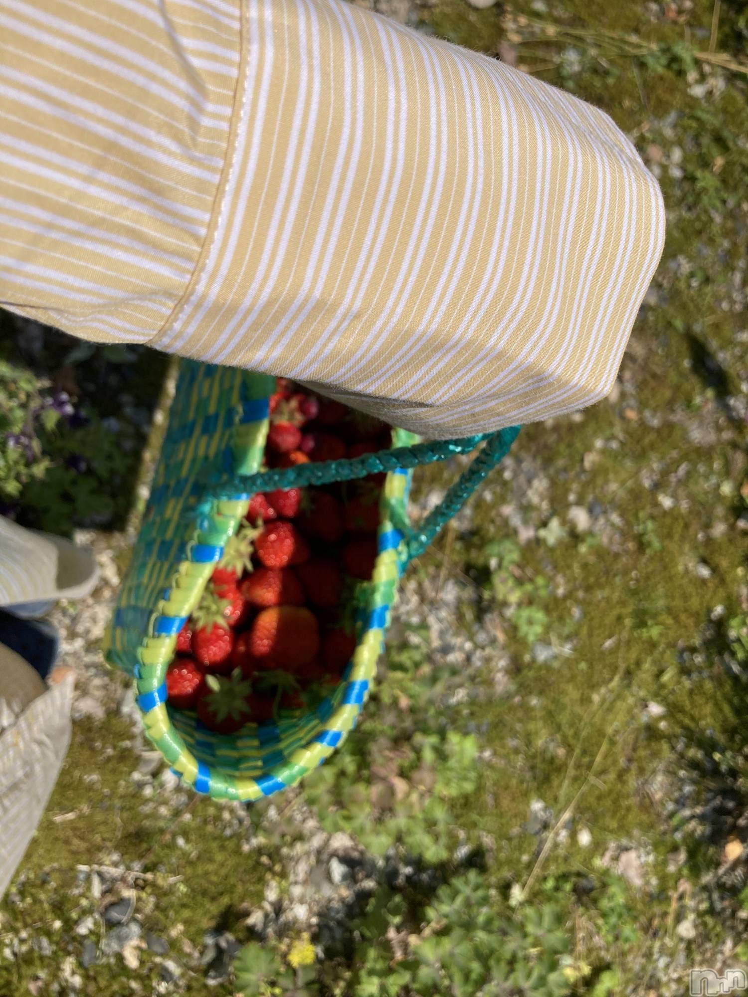 ʥå륺СSnack amie(ʥå ) 2023ǯ67̥֥֥뤫Ρ🍓