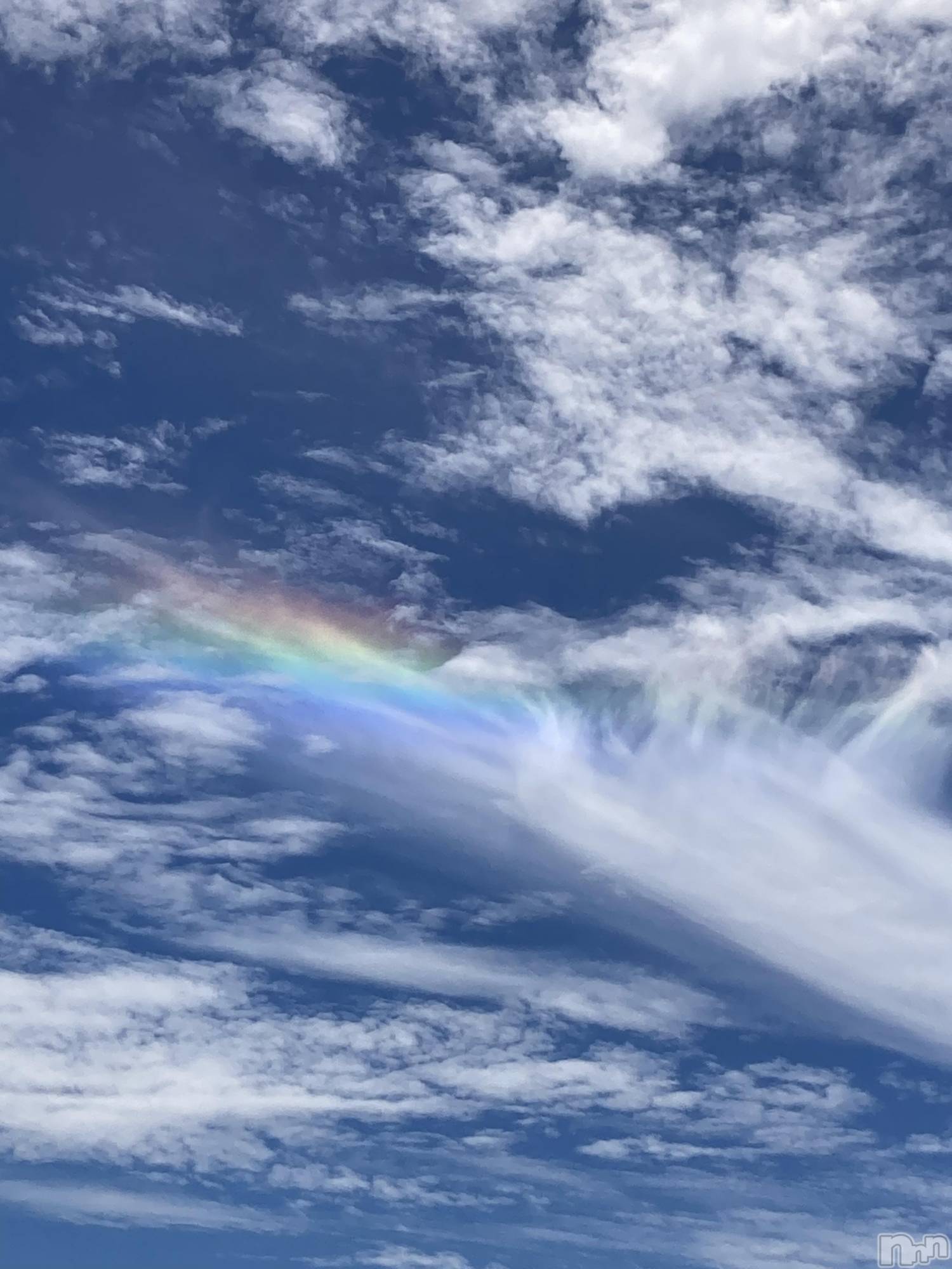 ʥå륺СSnack amie(ʥå ) 2023ǯ88̥֥🌈ᵕ̈*