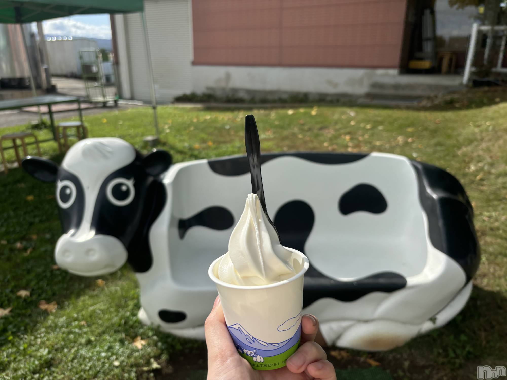 ʥå륺СSnack amie(ʥå ) 2024ǯ1021̥֥֡եȥ꡼ȥե‪🍦‬
