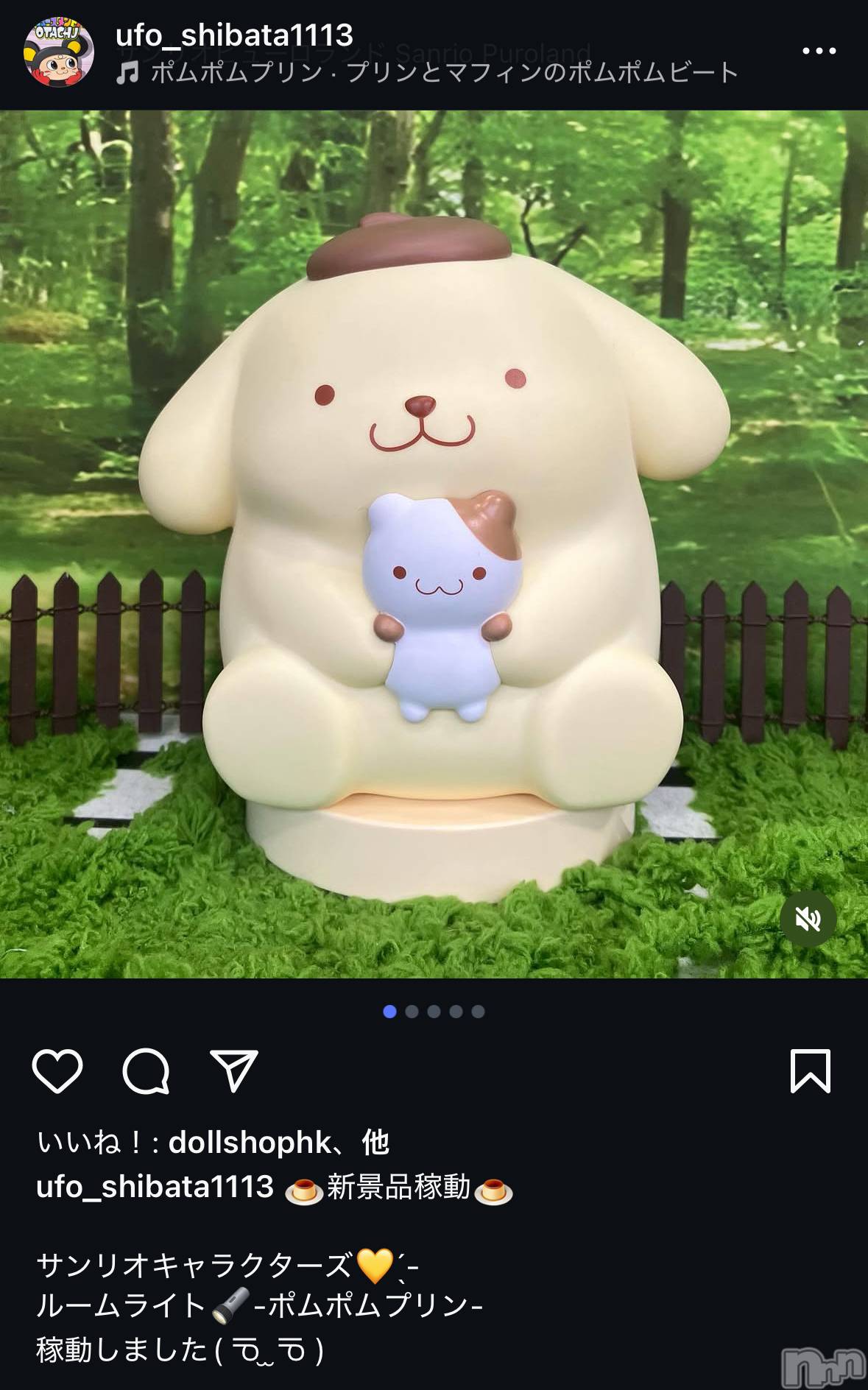 ʥå륺СSnack amie(ʥå ) 2025ǯ716̥֥🤲🏻🍮🐶🐾