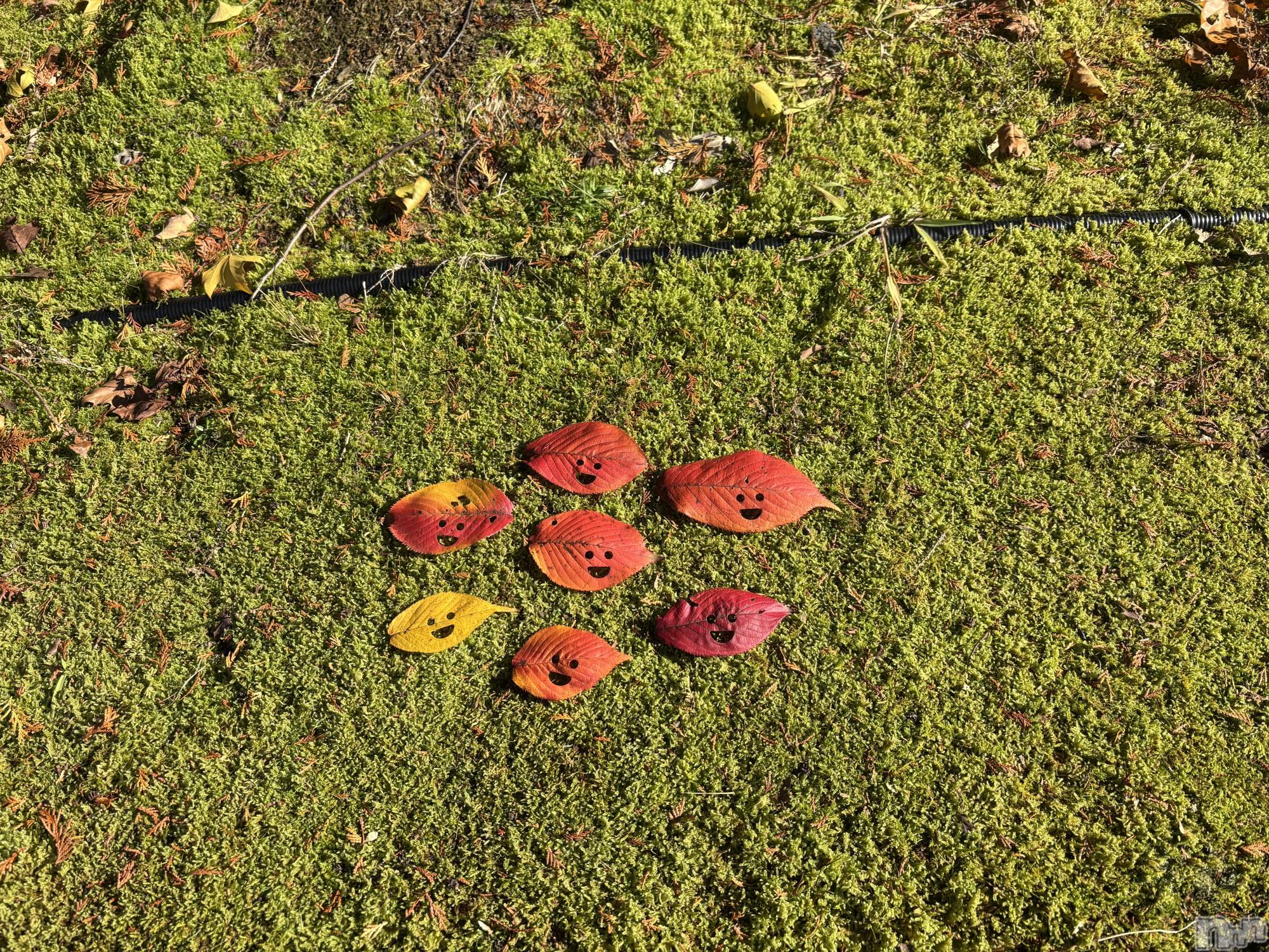 ʥå륺СSnack amie(ʥå ) 2025ǯ1113ֹ̥֥🍁𓂃 𓈒𓏸◌🍁