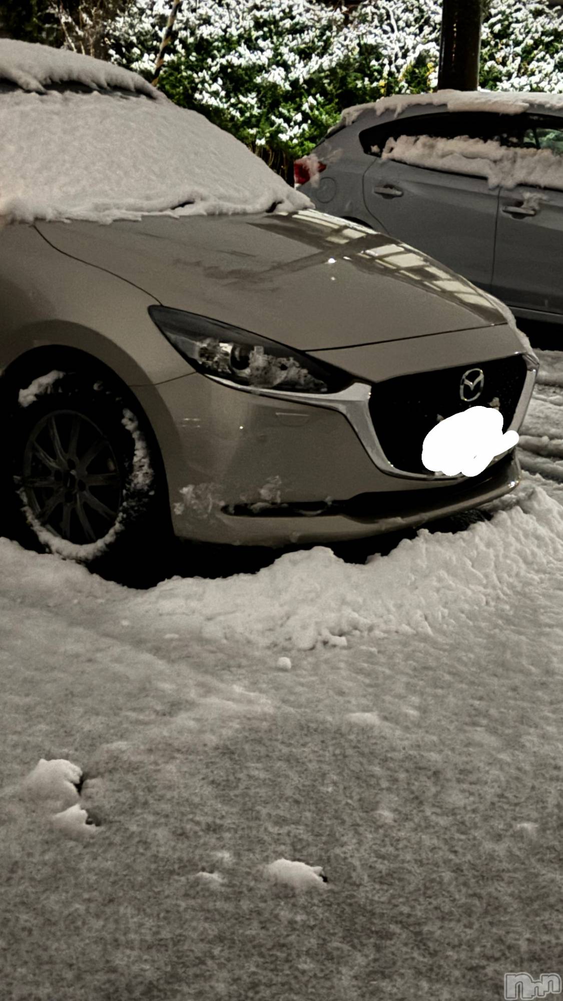 ʥå륺СSnack amie(ʥå ) 2025ǯ125̥֥