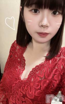 ʥå륺СSnack amie(ʥå ) ʥ(22)211̥֥🍫ʤǺǽ🍫