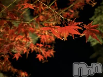 ʥå륺СSnack amie(ʥå ) ʥ(22)1112̥֥֡🍁󥿥륱🍁