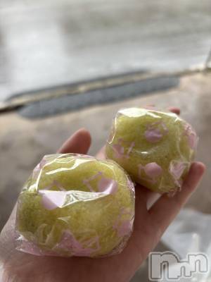 ʥå륺СSnack amie(ʥå ) ʥ(22)56̥֥inʡ縩
