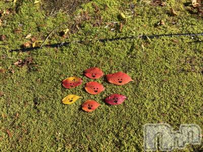 ʥå륺СSnack amie(ʥå ) ʥ(23)1113ֹ̥֥🍁𓂃 𓈒𓏸◌🍁