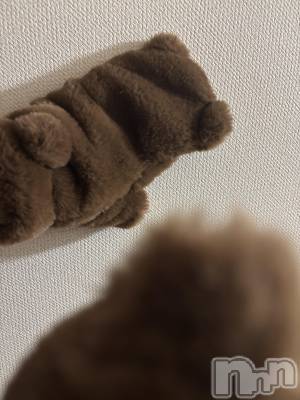 ʥå륺СSnack amie(ʥå ) ʥ(23)1122̥֥󤷤ʤǤ🐻‍