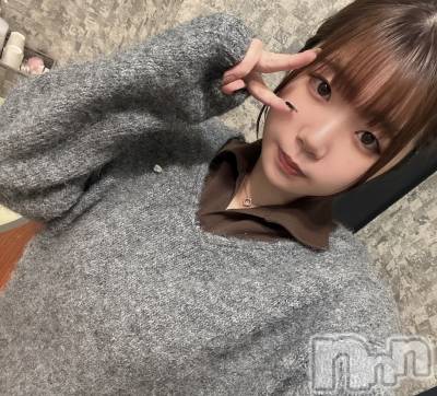 ��������ˤ��륹�ʥå��������륺�С���Snack amie(���ʥå� ����)�פΥ��㥹�ȡ֥��ʥġפξҲ����