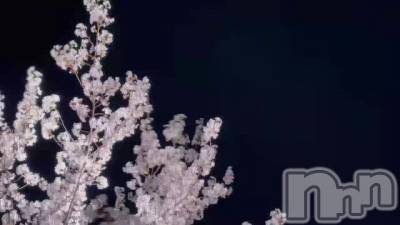 𓂃🌸𓈒𓏸