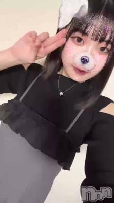 NEW🐄⸒⸒