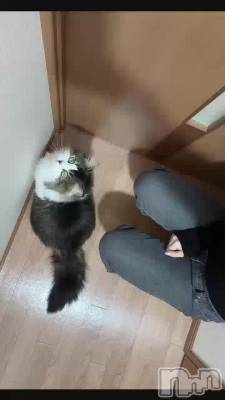 ��ŷ�������ɥӥ󥴺ǽ����ԤäƤޤ�‼️