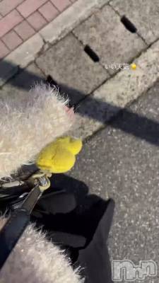 �ƥ����鵭Ͽ����‼️