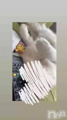 ⥶