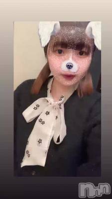 פ֤˥ĥơ(๑•ᴗ•๑)♡