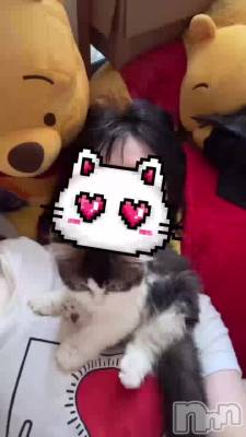 ¤Ȥ㤦🐱