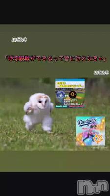 Ύ